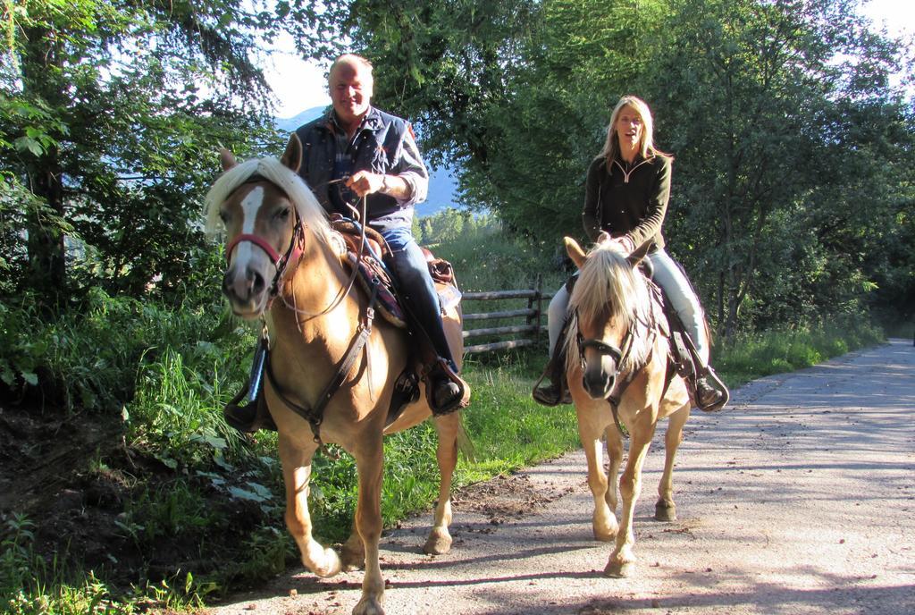 Farm stay Schornhof *
