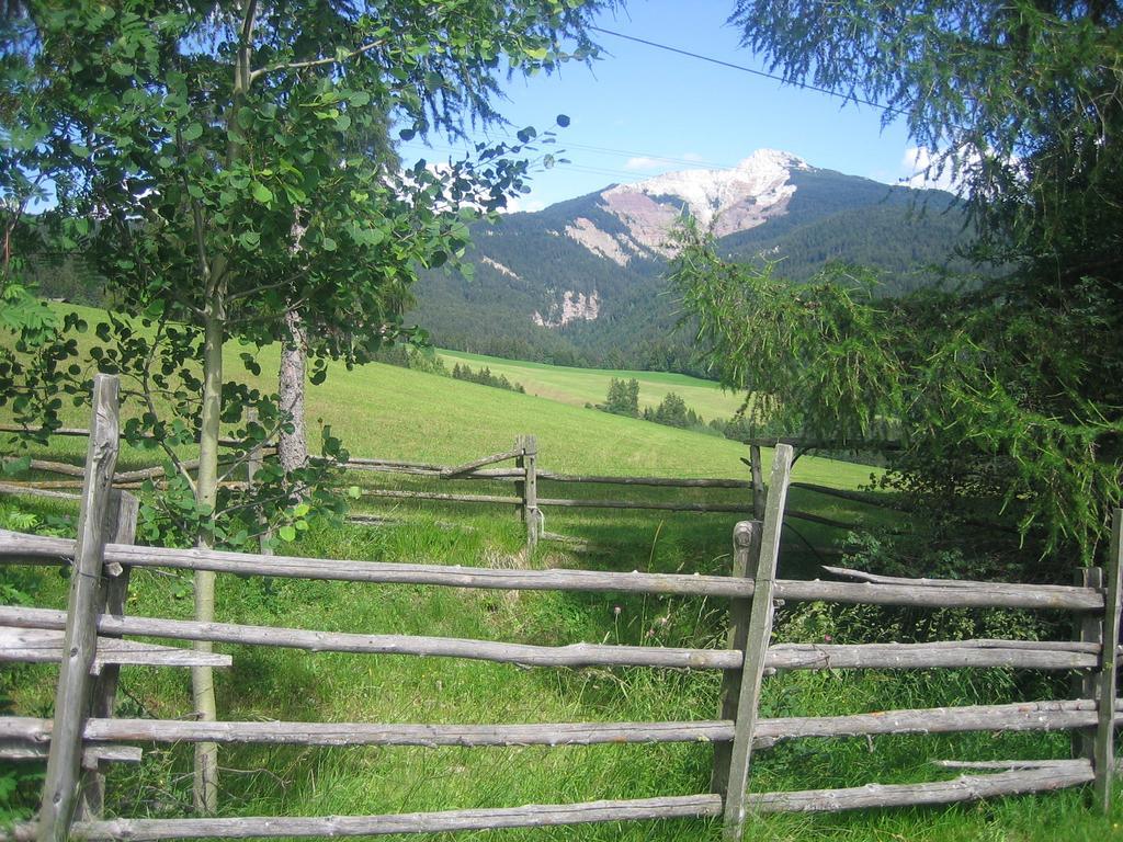 Schornhof Aldino